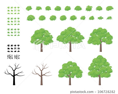 Tree illustration_hardwood Tree illustration_hardwood 106728282