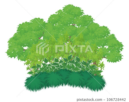 日式植物背景圖 106728442