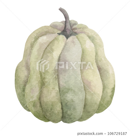 Autumn green pumpkin.Seasonal holiday and thanksgiving design.Farm organic fall vegetables.Watercolor illustration.Handmade isolated art Autumn green pumpkin.Seasonal holiday and thanksgiving design.Farm organic fall vegetables.Watercolor illustration.Handmade isolated art 106729187