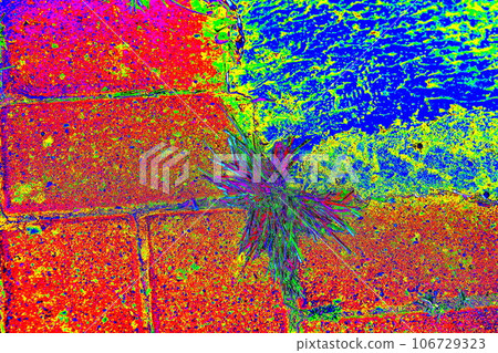 The dry grass growing through the gap of the cement Blocks, abstract background. The dry grass growing through the gap of the cement Blocks, abstract background. 106729323