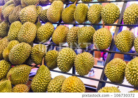 Many durian fruits on a stall in the Kuala Lumpur market 106730372