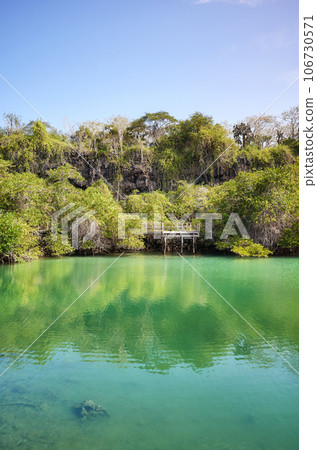 Laguna de las Ninfas in Santa Cruz Island, Galapagos Islands, Ecuador. 106730571