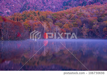 長野縣戶隱村加賀美池的秋葉和清晨薄霧的壯麗景色 長野縣戶隱村加賀美池的秋葉和清晨薄霧的壯麗景色 106730698