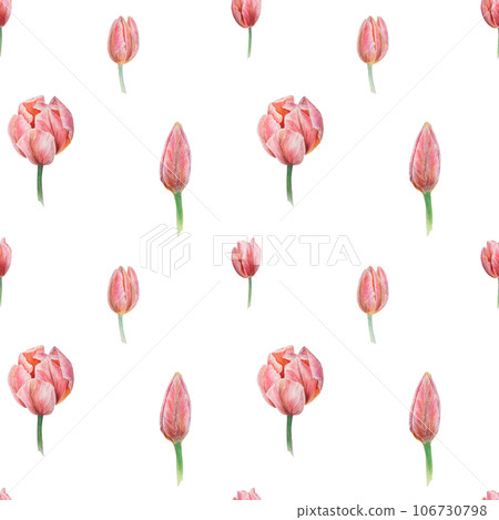 Pink tulips seamless pattern painted in watercolor, realistic botanical hand drawn illustration, background for design, wedding print products, paper, invitations, cards, fabric 106730798