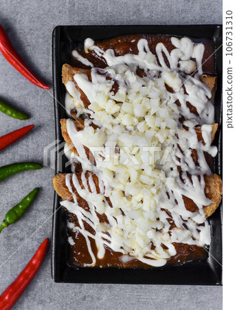 Chilaquiles with chicken and sour cream and sauce with many vegetables on a gray background Chilaquiles with chicken and sour cream and sauce with many vegetables on a gray background 106731310