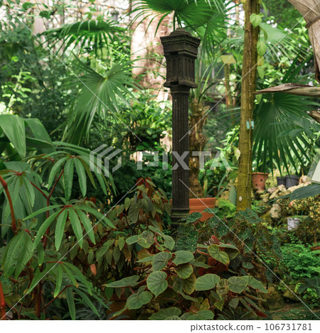 interior of an antique tropical greenhouse with an old cast iron lantern among the plants 106731781