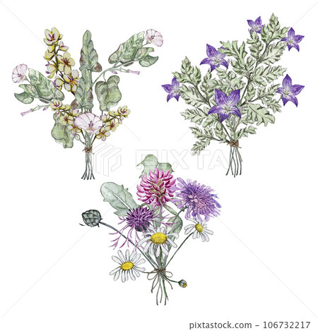 Set of three summer bouquets of wild flowers. Mullein, bindweed, bluebell flower, clover, chamomile, korostavnik, cornflower. Watercolor illustrations 106732217
