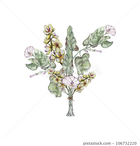 Summer bouquet of bindweed, mullein and bindweed leaves . Watercolor illustrations Summer bouquet of bindweed, mullein and bindweed leaves . Watercolor illustrations 106732220