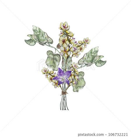 Summer bouquet of bluebell flower, mullein and bindweed leaves . Watercolor illustrations Summer bouquet of bluebell flower, mullein and bindweed leaves . Watercolor illustrations 106732221