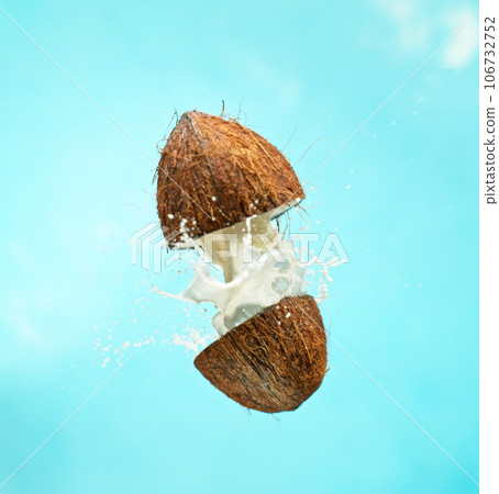 Cracked Coconut with milk splash flying in the air, isolated on blue. Cracked Coconut with milk splash flying in the air, isolated on blue. 106732752