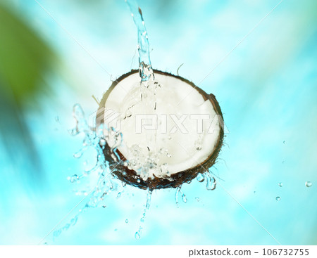 Cracked Coconut with water splash flying in the air, isolated on blue. Cracked Coconut with water splash flying in the air, isolated on blue. 106732755