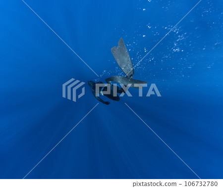 Freediver Swimming in Deep Sea With Sunrays. 106732780