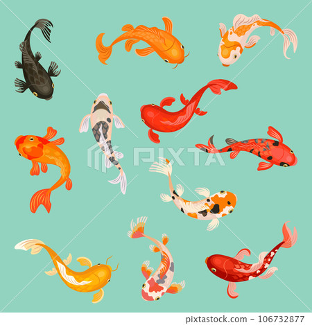 Koi fish. Botanical japanese fish, garden lake carps. Decorative goldfish, underwater animals asian style. Oriental water elements, nowaday vector collection Koi fish. Botanical japanese fish, garden lake carps. Decorative goldfish, underwater animals asian style. Oriental water elements, nowaday vector collection 106732877