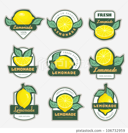 Lemonade labels. Badges design for fresh drinks with lime and lemon package sticky labels template recent vector set with place for text 106732959