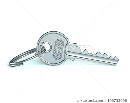 Key 3D Key 3D 106733096