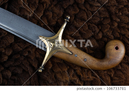 Ukraine Saber Sword, 17th century. Poland, Lithuania, Hungary, Ukraine. Ukraine Saber Sword, 17th century. Poland, Lithuania, Hungary, Ukraine. 106733781