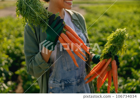 Close up of female farmer holding freshly picked carrots standing in field. Agro industry concept 106734034