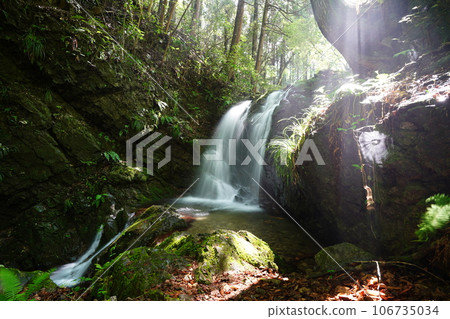本宮的瀑布(八王子城遺址) 本宮的瀑布(八王子城遺址) 106735034