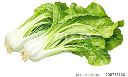 白菜水彩插圖“AI生成圖像” 106735180