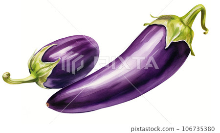 未成熟茄子的水彩插圖“AI生成圖像” 未成熟茄子的水彩插圖“AI生成圖像” 106735380