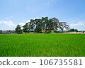 Shimosamuraizuka tumulus under the blue sky 106735581