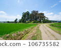 Shimosamuraizuka tumulus under the blue sky 106735582