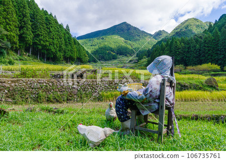Senmaida rice fields in Yotsuya where rice harvesting has begun and realistic scarecrows in Shinshiro City, Aichi Prefecture 106735761
