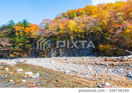 八幡平、松川溪谷（松川玄武岩）的紅葉 106736289