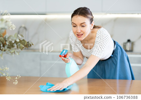Woman housewife cleaning furniture at home kitchen Woman housewife cleaning furniture at home kitchen 106736388