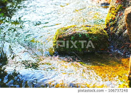 An impressive illustration-style photo of a clear stream flowing between moss-covered stones, with high-brightness retouching to make it look like a painting. 106737248