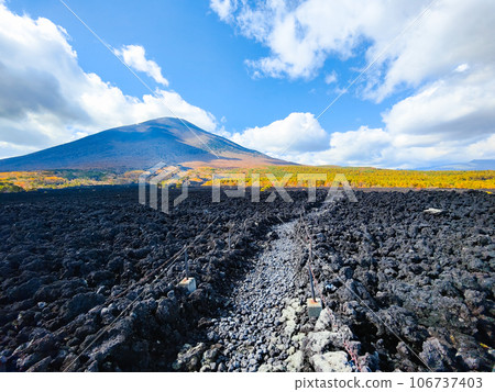 燒橋熔岩流和岩手山（秋季） 106737403