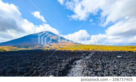 燒橋熔岩流和岩手山（秋季） 106737405