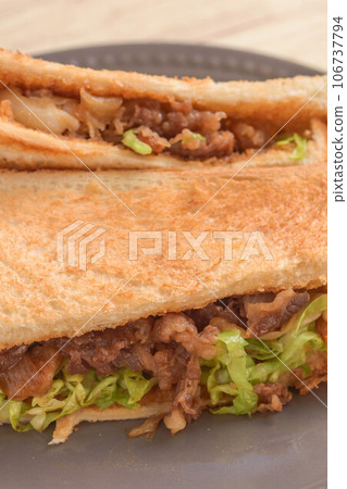 grilled meat toast 106737794