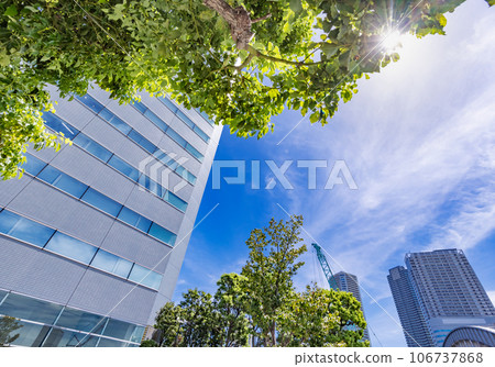 Buildings in Tokyo with beautiful sunlight Buildings in Tokyo with beautiful sunlight 106737868
