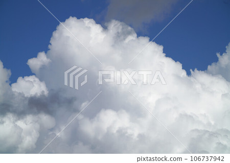 夏雲 106737942