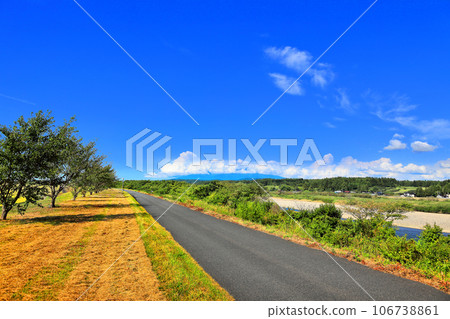 最上川堤頂道路 最上川堤頂道路 106738861
