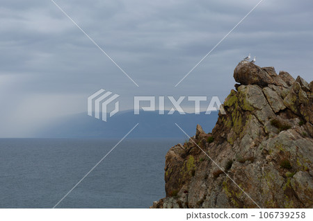 Seagull Sitting on the Rock on Baikal Lake Background. Seagull Sitting on the Rock on Baikal Lake Background. 106739258