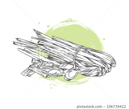 Hand drawn monochrome bunch of lemongrass sketch style, vector illustration 106739422