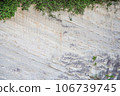 Rocky cliff 106739745