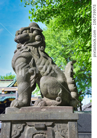 牛島神社的守護犬(東京都墨田區向島) 牛島神社的守護犬(東京都墨田區向島) 106739978