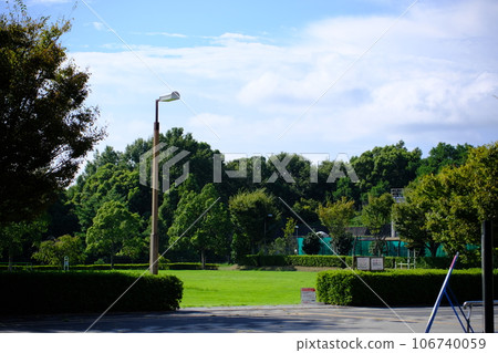 在陽光明媚的夏日公園 106740059