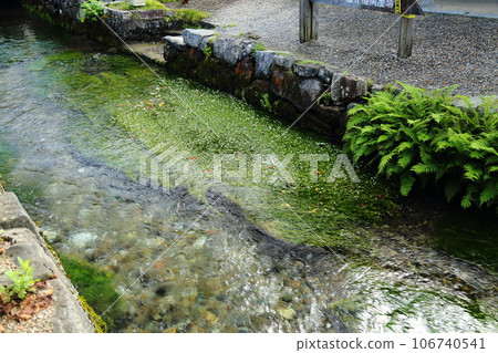 中山道鮫貝宿〈米原市鮫貝宿博物館(市指定文化遺產鮫貝批髮店)〉【滋賀縣米原市】 中山道鮫貝宿〈米原市鮫貝宿博物館(市指定文化遺產鮫貝批髮店)〉【滋賀縣米原市】 106740541