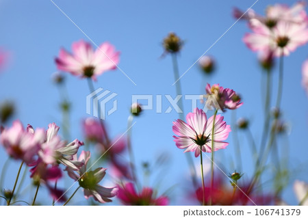 宇宙 宇宙 106741379