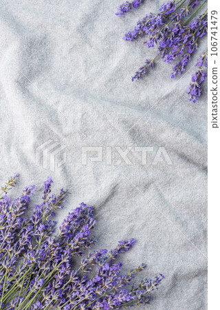 Fresh lavender flowers on a fabric background. 106741479