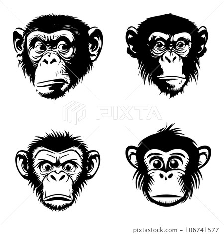 Monkey face with angry and funny expression. Monkey head logo vector set, monkey face logo isolated. monkey logo, icon illustration. animal pet logo vector	 106741577