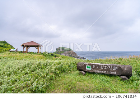 蓬莫西里島藤野園地 蓬莫西里島藤野園地 106741834