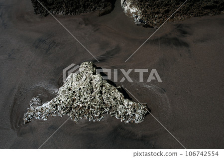 如果你仔細觀察海邊，你就能看到地球的奧秘。當沙土暴露在海浪中時，它會呈現出不同的面貌。 106742554