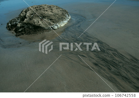 如果你仔細觀察海邊，你就能看到地球的奧秘。當沙土暴露在海浪中時，它會呈現出不同的面貌。 106742558
