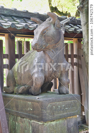 Guardian cow at Ushijima Shrine (Mukojima, Sumida-ku, Tokyo) Guardian cow at Ushijima Shrine (Mukojima, Sumida-ku, Tokyo) 106742579