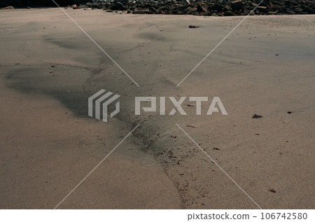 If you look closely at the seaside, you can see the mysteries of the earth. The sandy earth shows various faces as it is exposed to the waves. If you look closely at the seaside, you can see the mysteries of the earth. The sandy earth shows various faces as it is exposed to the waves. 106742580